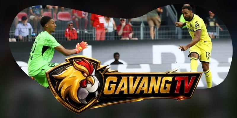 Phân tích phong độ Brentford vs Liverpool qua khả năng giữ nhịp dưới áp lực