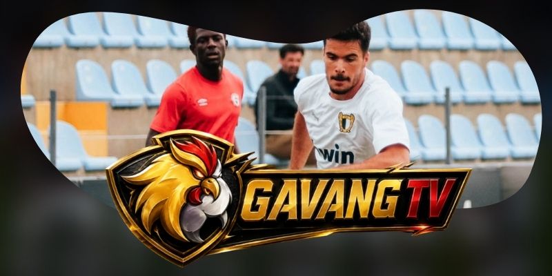 Tổng hợp dự đoán kèo trận FC Famalicao vs Alverca ngày 13/10