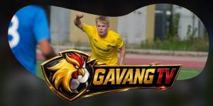 Dự Đoán Trận FK Bodo/Glimt Vs LOSC Lille 03h00 04/11